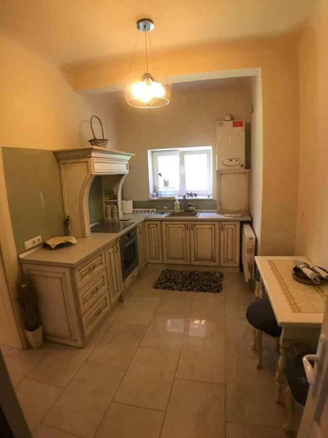 Apartment Vintige クルージュ＝ナポカ エクステリア 写真