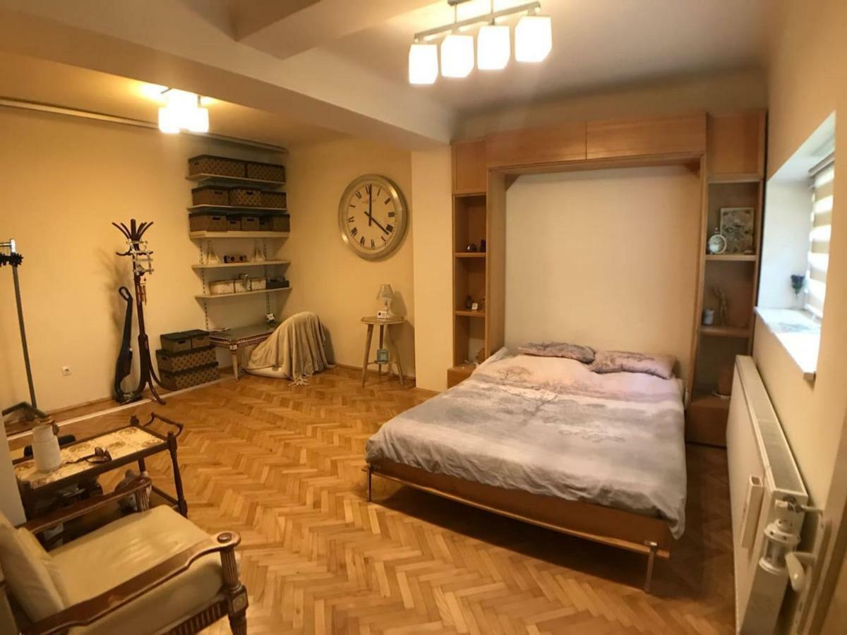 Apartment Vintige クルージュ＝ナポカ エクステリア 写真