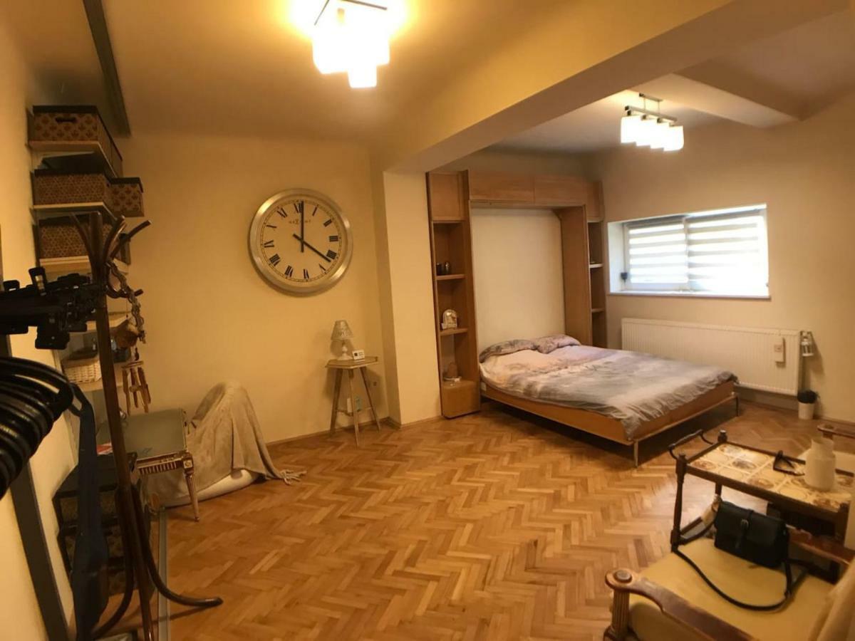 Apartment Vintige クルージュ＝ナポカ エクステリア 写真